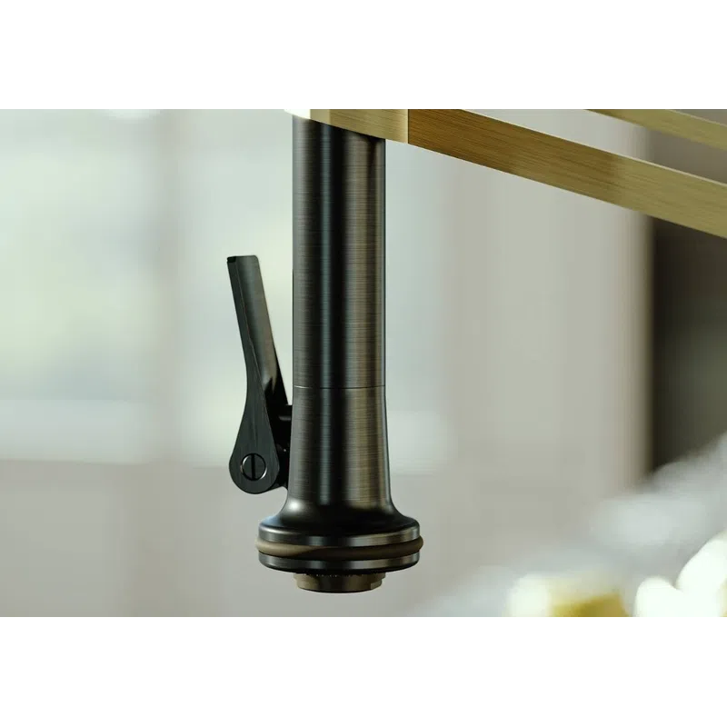 Close-up of modern kitchen faucet with black and brass finish against blurred background