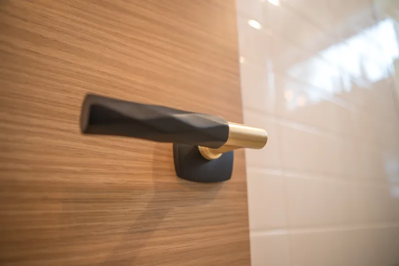 Close-up of a matte black and brass door lever handle mounted on a wood-grain door.